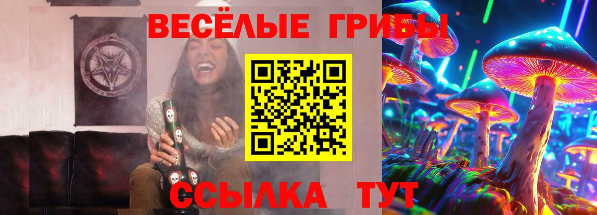что такое наркотик  Галлюциногенные грибы мицелий  Вход с VPN  Отрадное 